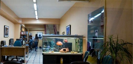 YeniHayat Bilişim A.Ş.